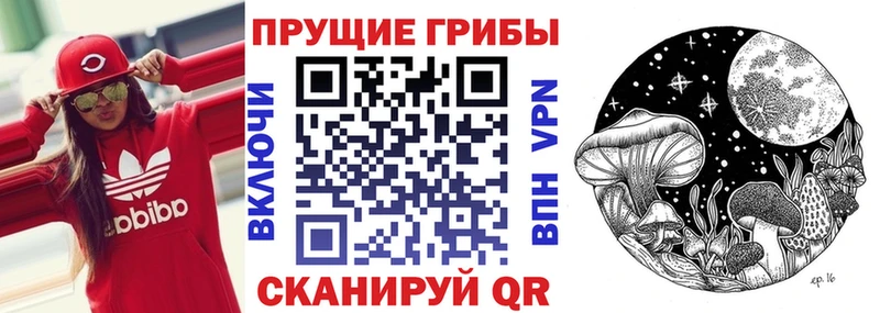 купить  цена  KRAKEN маркетплейс  Псилоцибиновые грибы прущие грибы  Петров Вал 
